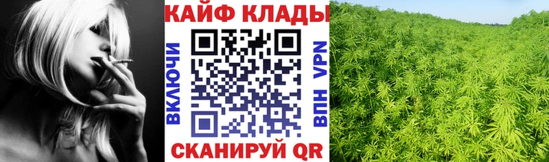 Сколько стоит Звенигово Кокаин  Гашиш  Alpha-PVP  Галлюциногенные грибы  Марихуана 