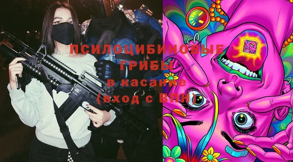 мескалин Медвежьегорск