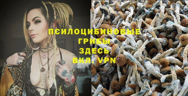 мескалин Медвежьегорск