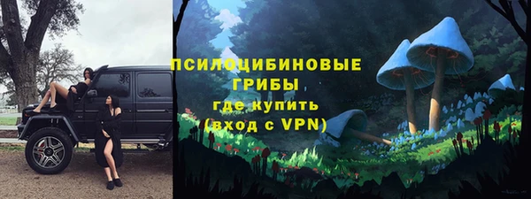 мескалин Медвежьегорск